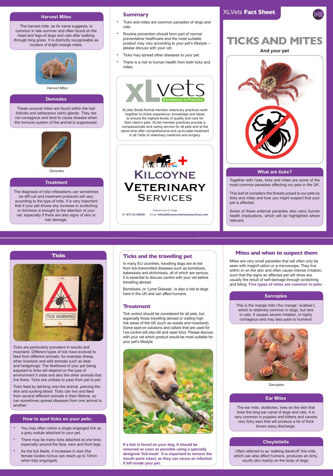 kilcoyne_veterinary_services_xlvets_factsheet_ticks_mites