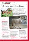 xlvet_equine_vaccination_thb