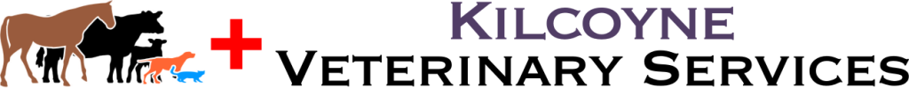 Kilcoyne & Barnes Veterinary Services